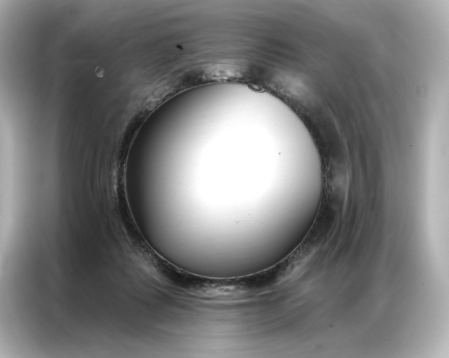 X0000086900315200704301022