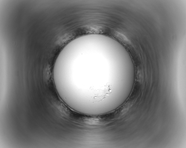 X0000086900318200704301022