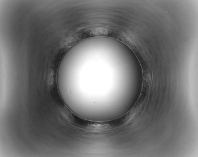 X0000086900323200704301022