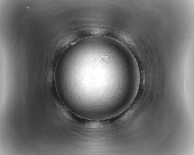 X0000086900325200704301022