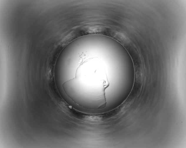 X0000086900327200704301022