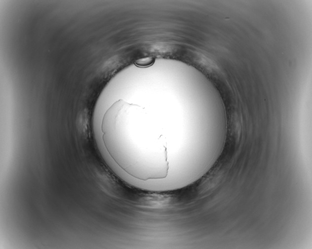 X0000086900328200704301022