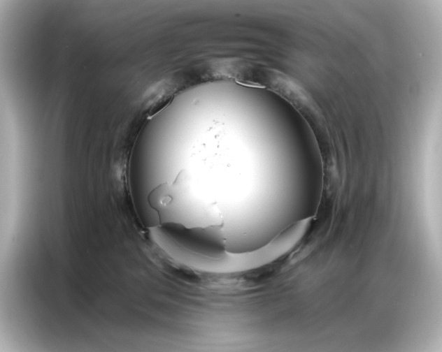 X0000086900329200704301022