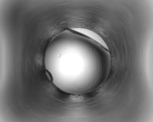 X0000086900331200704301022