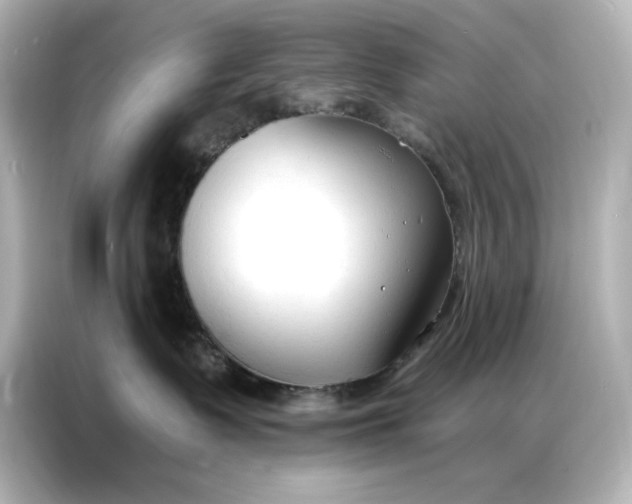 X0000086900335200704301022