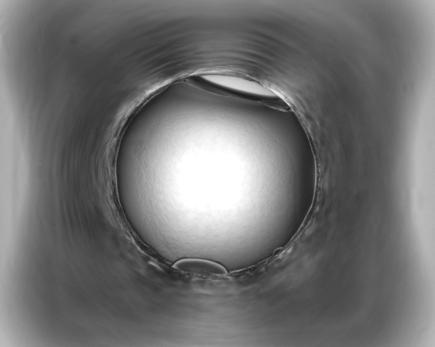 X0000086900337200704301021