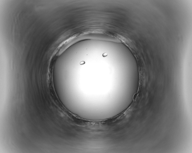 X0000086900338200704301021