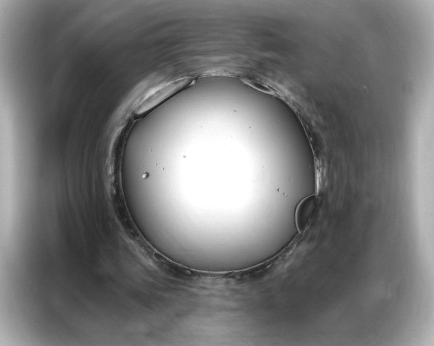 X0000086900339200704301021