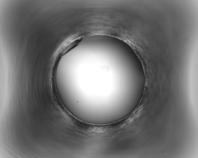 X0000086900341200704301021