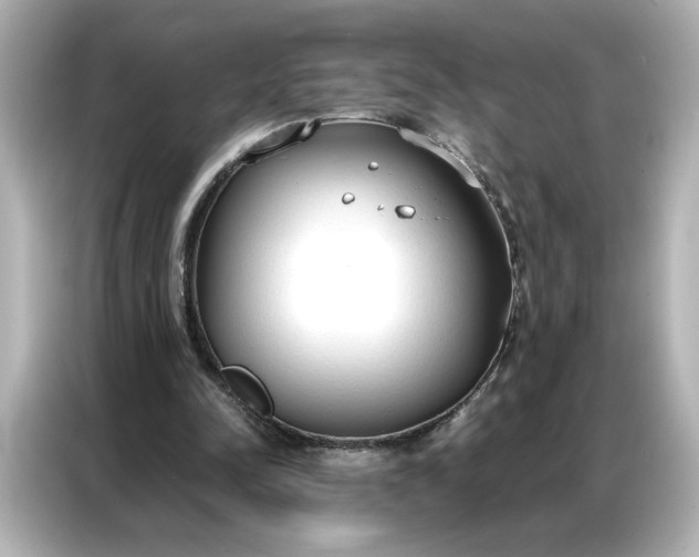 X0000086900342200704301021