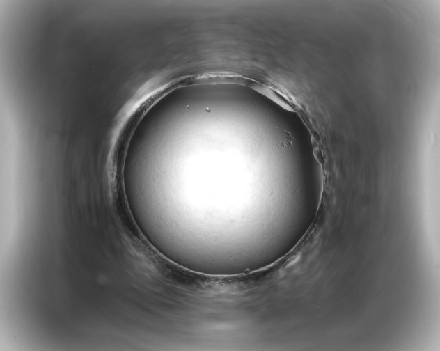 X0000086900343200704301021