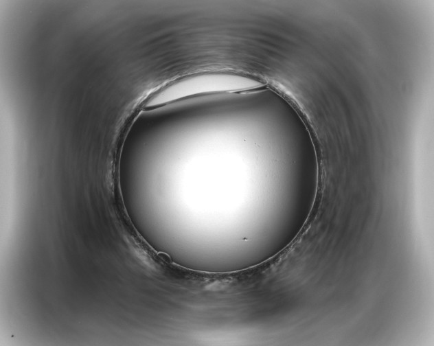 X0000086900345200704301021