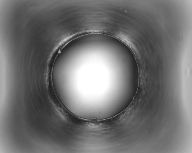 X0000086900346200704301021