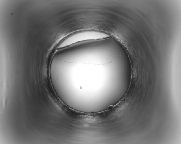 X0000086900347200704301021