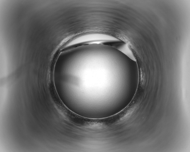 X0000086900348200704301021