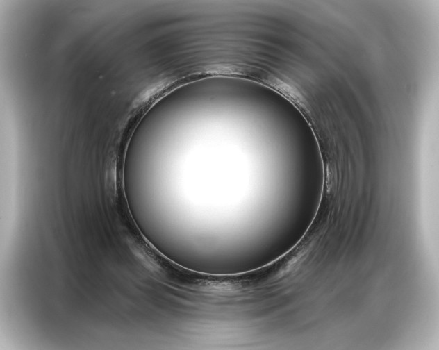 X0000086900349200704301021