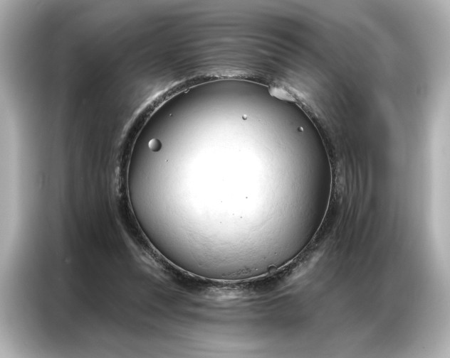 X0000086900351200704301021