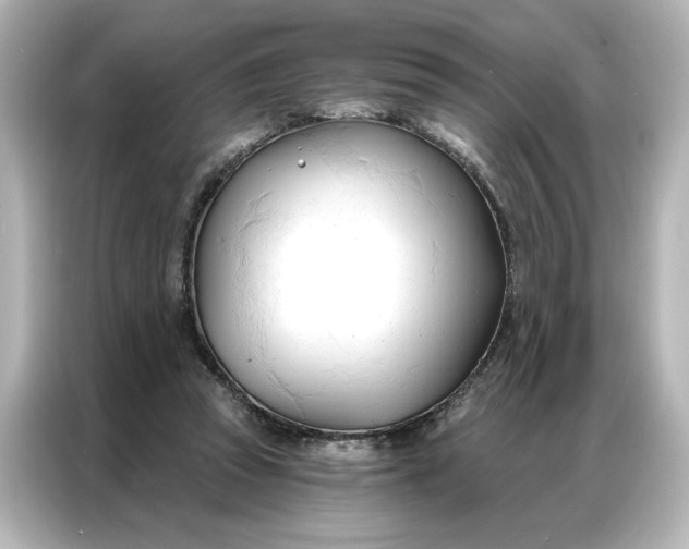 X0000086900353200704301021