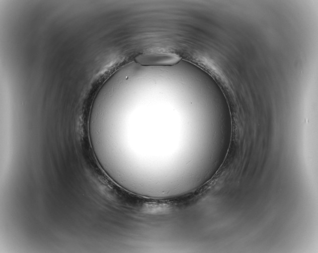 X0000086900354200704301021