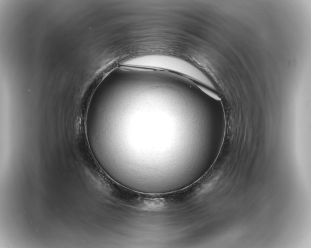 X0000086900355200704301021