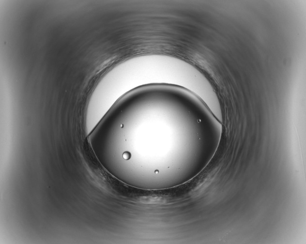 X0000086900356200704301021