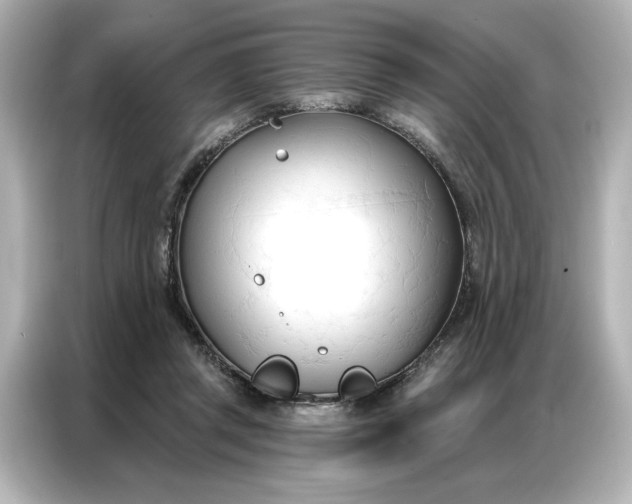 X0000086900357200704301021