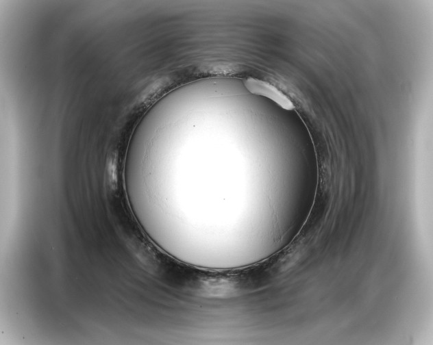 X0000086900358200704301021