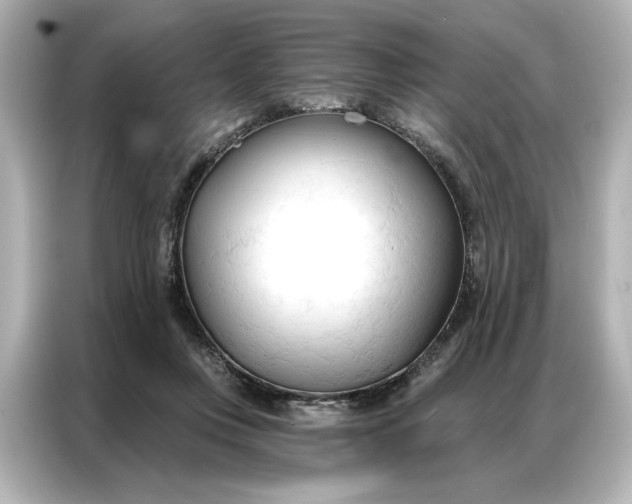 X0000086900359200704301021