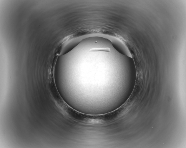 X0000086900360200704301021