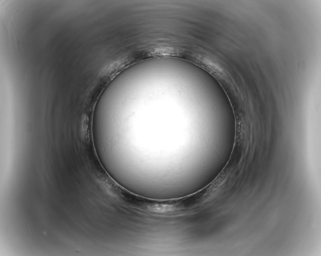 X0000086900361200704301022