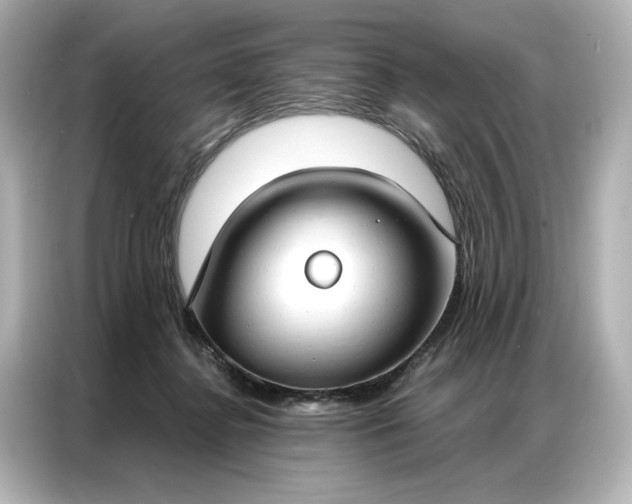 X0000086900364200704301022