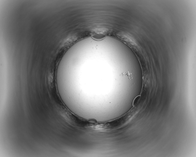 X0000086900365200704301022