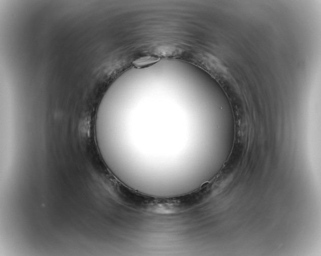 X0000086900368200704301022