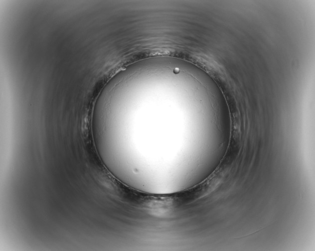 X0000086900369200704301022