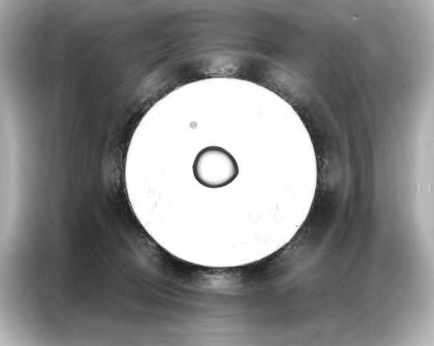 X0000086900370200704301022