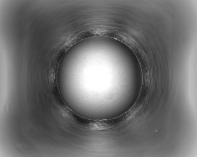 X0000086900372200704301022