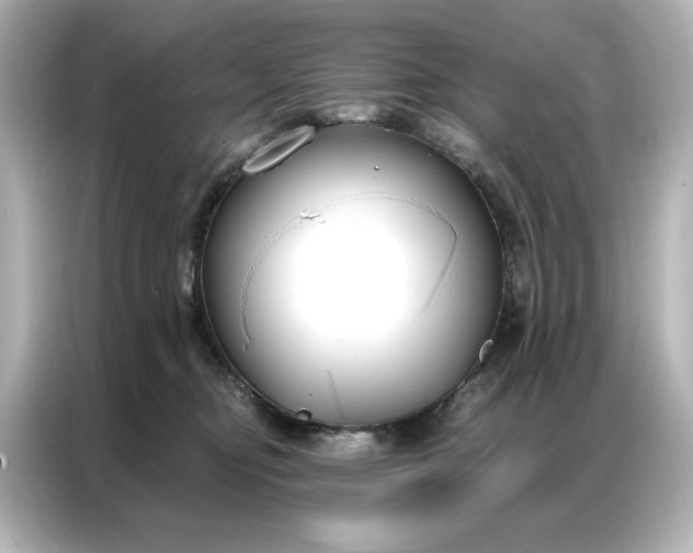 X0000086900374200704301022