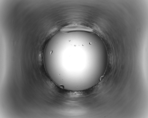 X0000086900378200704301022