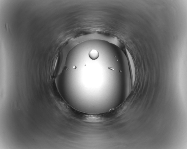 X0000086900380200704301022