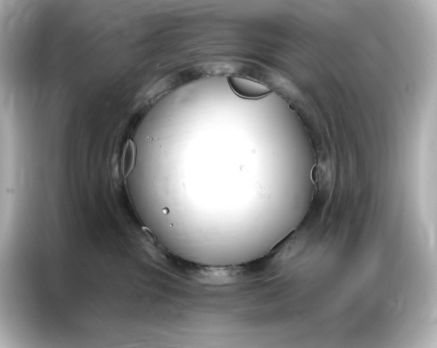 X0000086900381200704301022