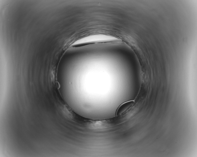 X0000086900382200704301022