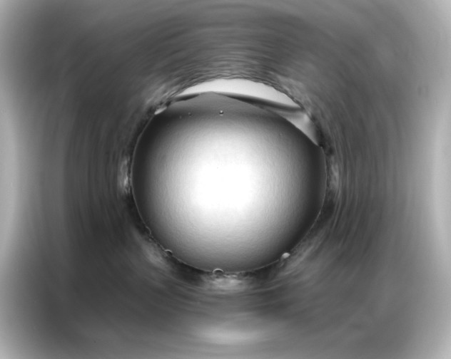 X0000086900383200704301022