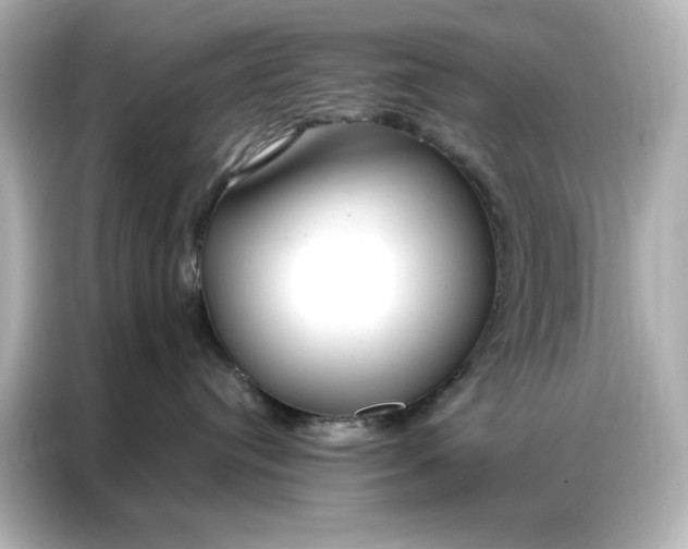 X0000086900384200704301022