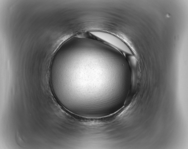 X0000086900385200704301021