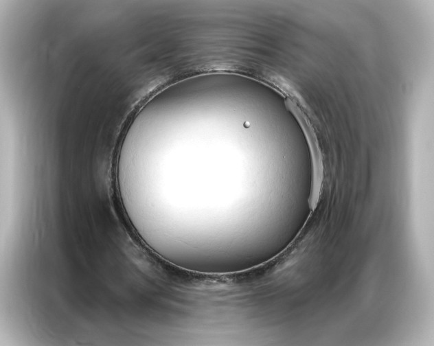 X0000086900386200704301021