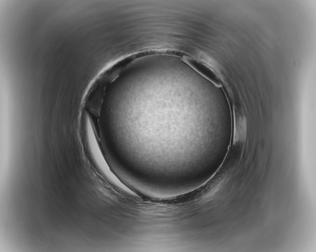 X0000086900387200704301021