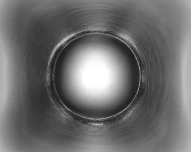 X0000086900388200704301021