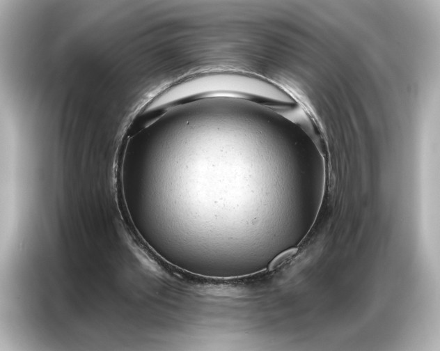 X0000086900389200704301021