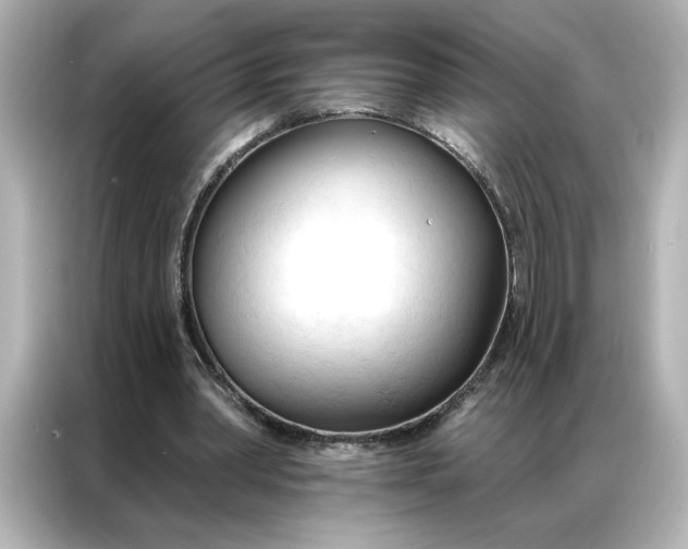 X0000086900390200704301021