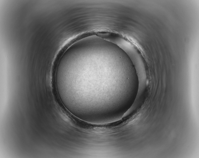 X0000086900391200704301021